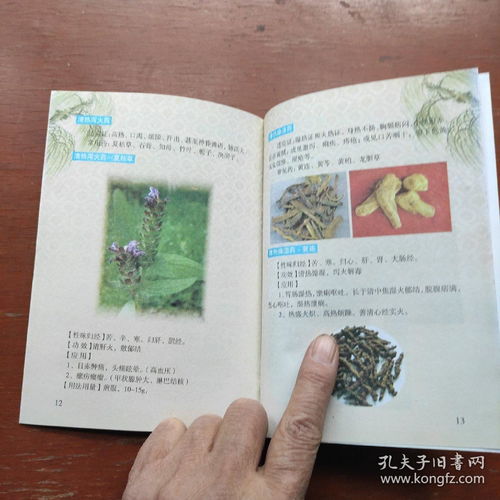 《中醫(yī)養(yǎng)生保健服務指南 婦女、高血壓及中醫(yī)基礎三冊精要》