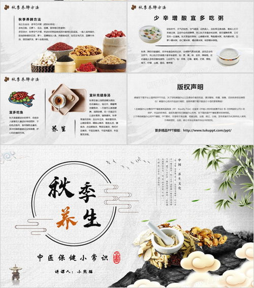 國風秋韻話養(yǎng)生 中醫(yī)保健知識講座PPT模板（熊貓辦公）
